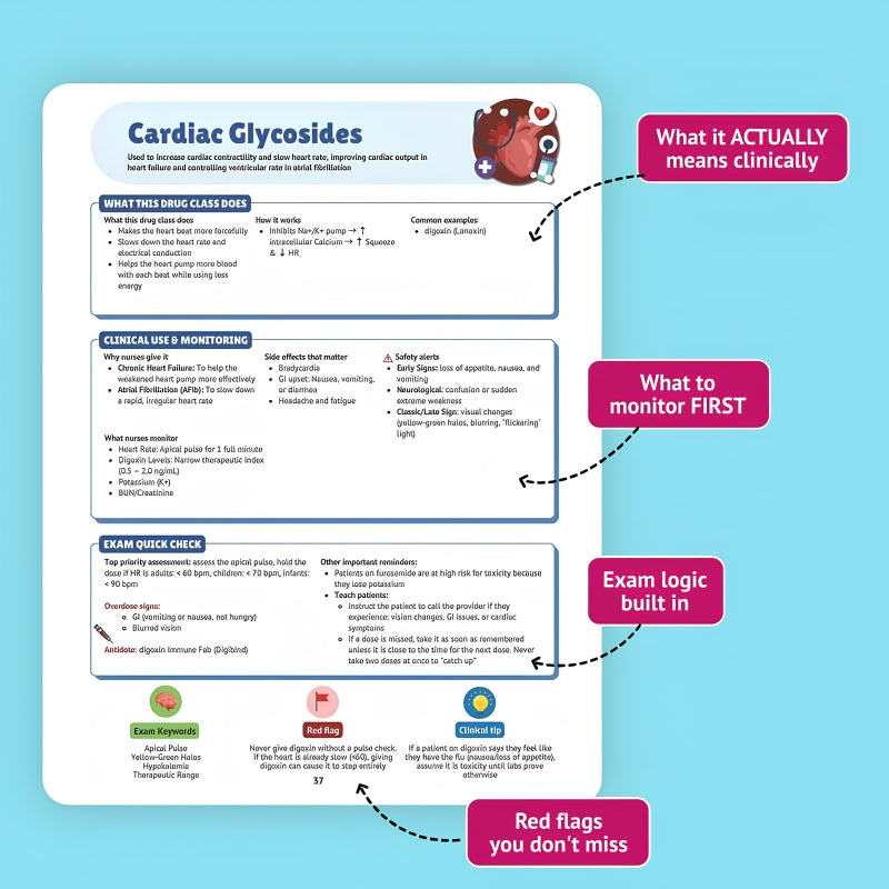 The Essential Pharmacology Guide for Nursing Students