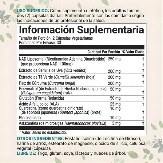 Liposomal NAD+ Última — Fórmula Avanzada 10 en 1