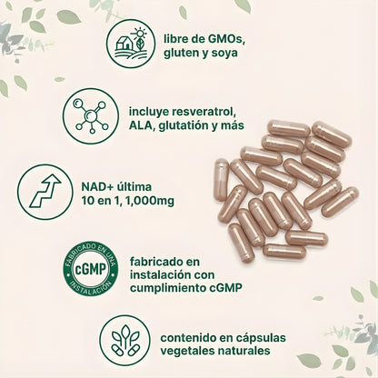 Liposomal NAD+ Última — Fórmula Avanzada 10 en 1