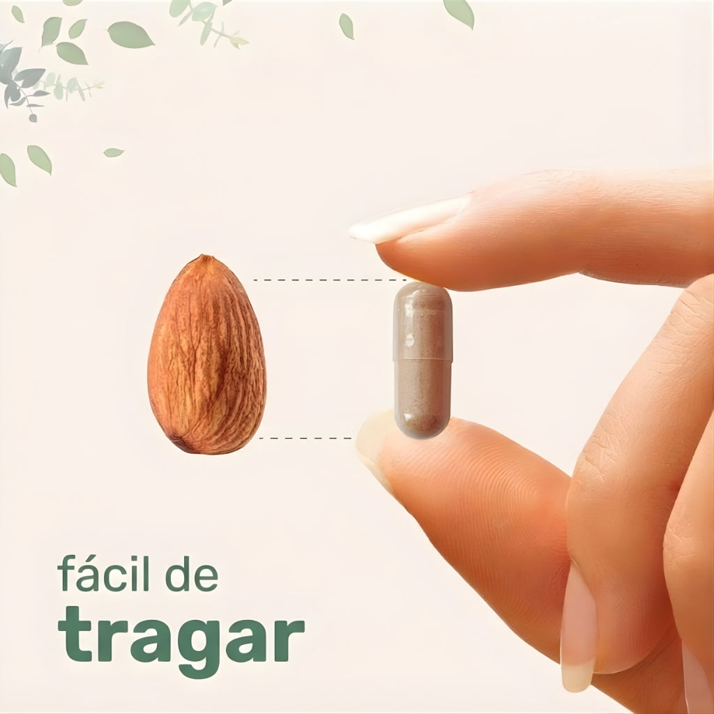 Liposomal NAD+ Última — Fórmula Avanzada 10 en 1