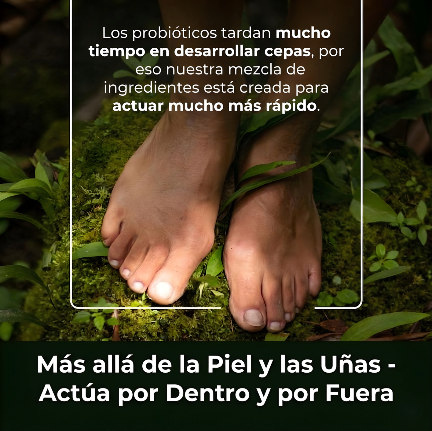Uñas Sin Hongos