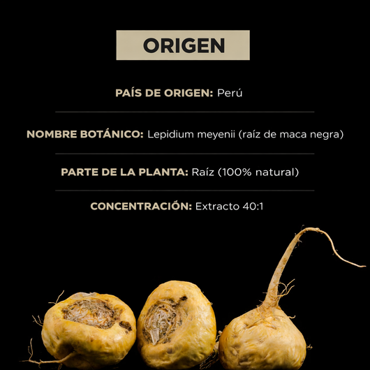 Maca Negra + Ashwagandha: Vitalidad Masculina