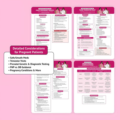 The Essential Family Nurse Practitioner Guide